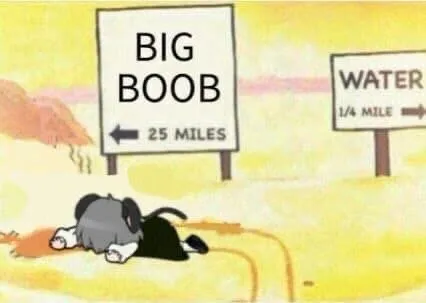 Big Boob Road Sign
