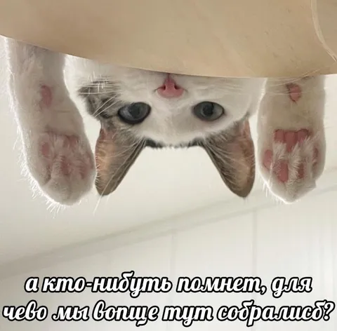 Кто-нибудь помнит, зачем собрались