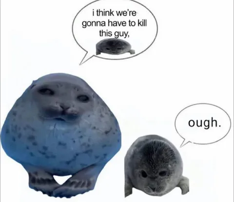 Seals Decide to Kill the Guy