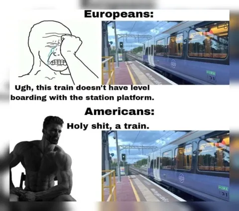 Europeans vs Americans Train Reaction