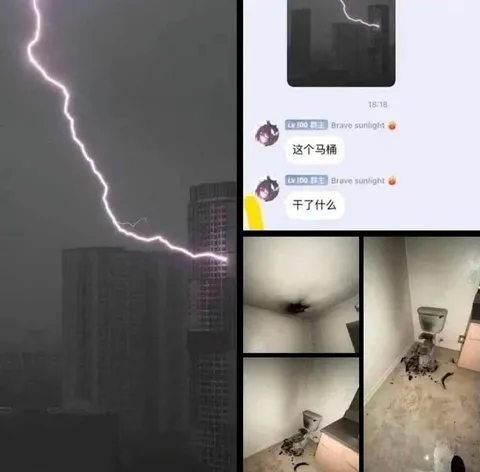 这个马桶干了什么