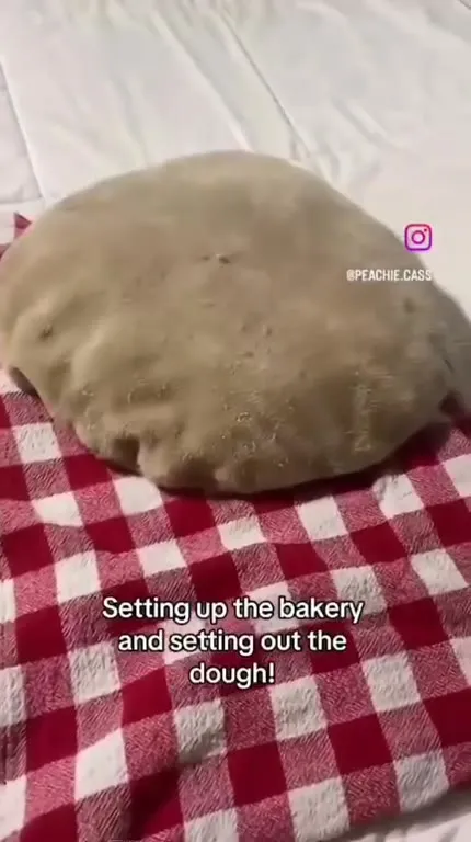 Cat Turns Dough Into Bread