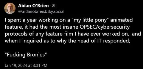 Fucking Bronies Cybersecurity Protocol