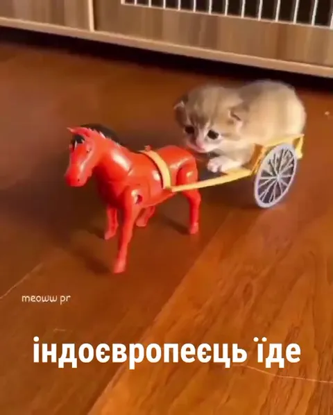 Індоєвропець їде на возі