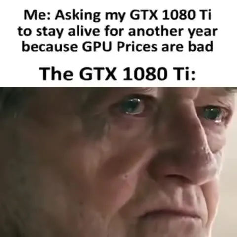 GTX 1080 Ti Begging to Survive