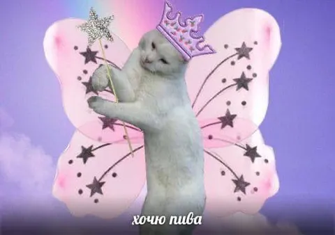 Котёнок-фея хочет пива
