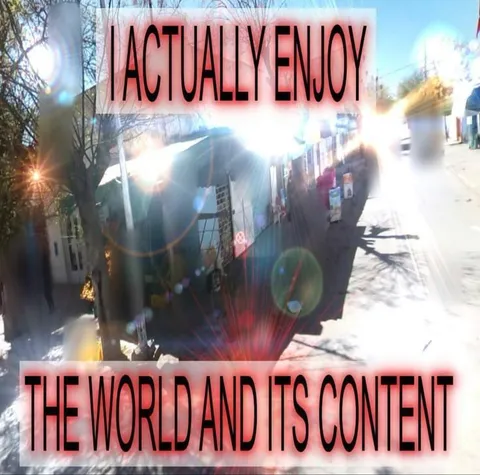 I Actually Enjoy the World
