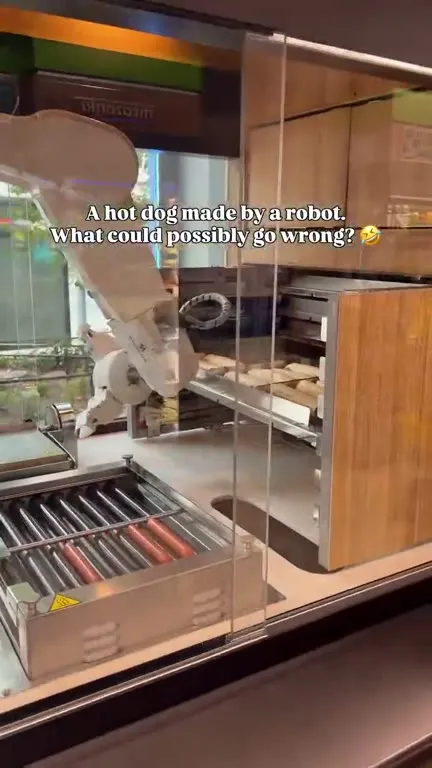 Robot Hot Dog Gone Wrong
