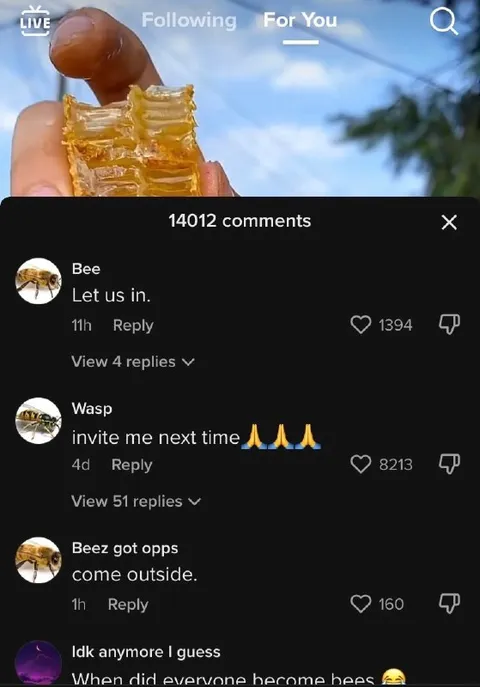 Bees Want Honey Too