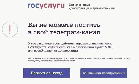 Справка о кале для телеграм-канала