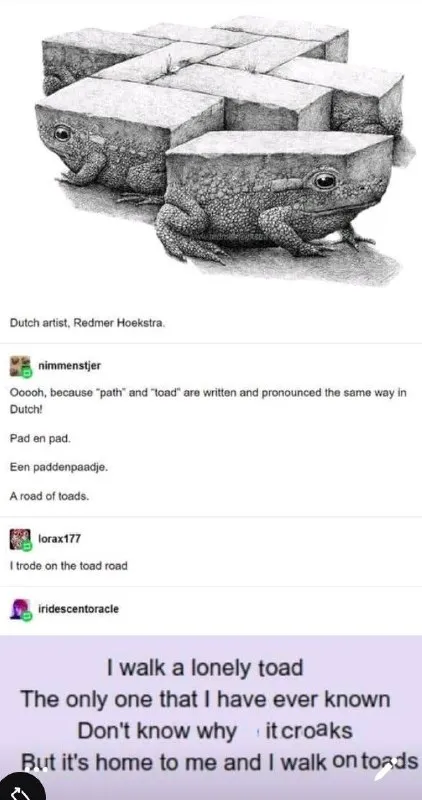 I Walk a Lonely Toad