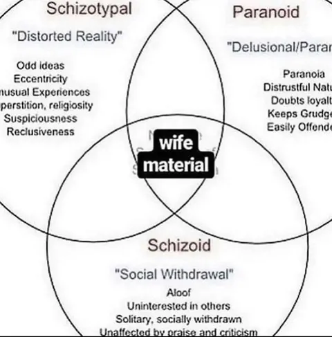 Schizotypal Paranoid Schizoid Wife Material