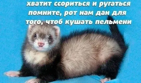 Хватит ссориться и ругаться