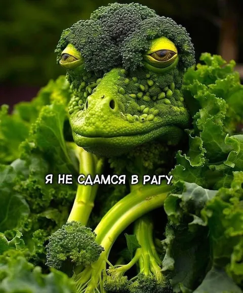 Я не сдамся в рагу