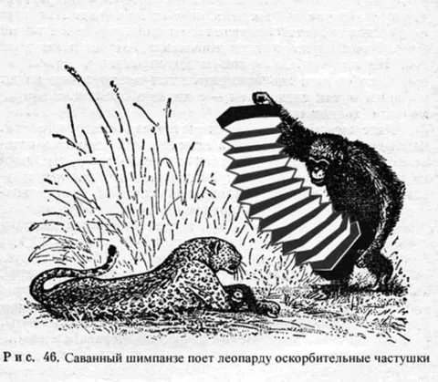 Шимпанзе поёт леопарду частушки