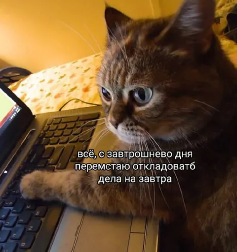 С завтрошнего дня без откладывания