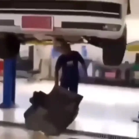 Кот под машиной
