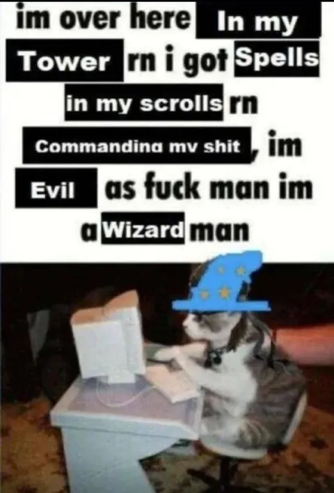 Evil Wizard Cat at Computer