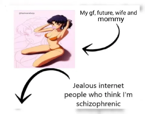 Jealous Internet Thinks I'm Schizophrenic