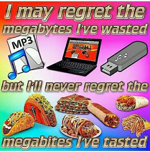 Megabytes Wasted, Megabites Tasted