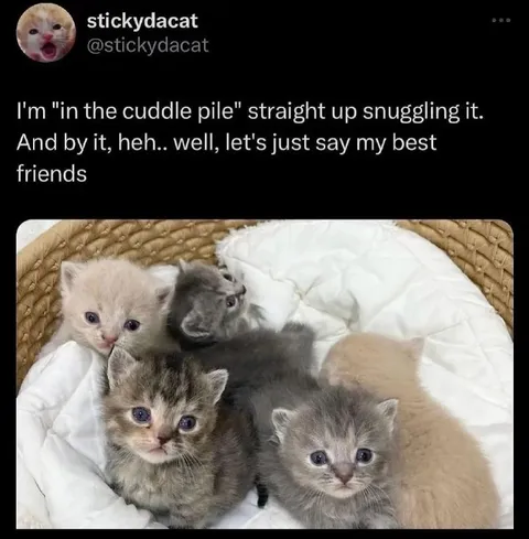 Cuddle Pile With Best Friends
