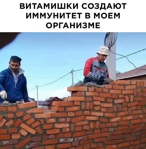 Витамишки создают иммунитет