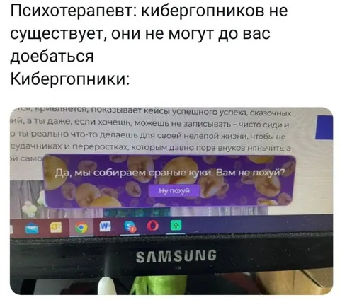 Кибергонники собирают куки