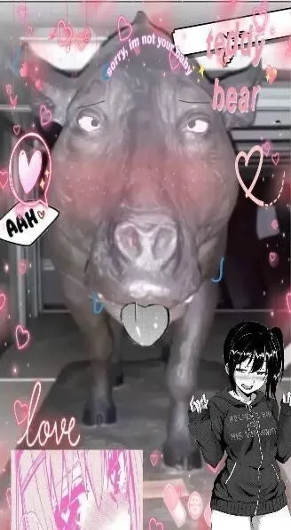 Sorry I'm Not Your Type Bear