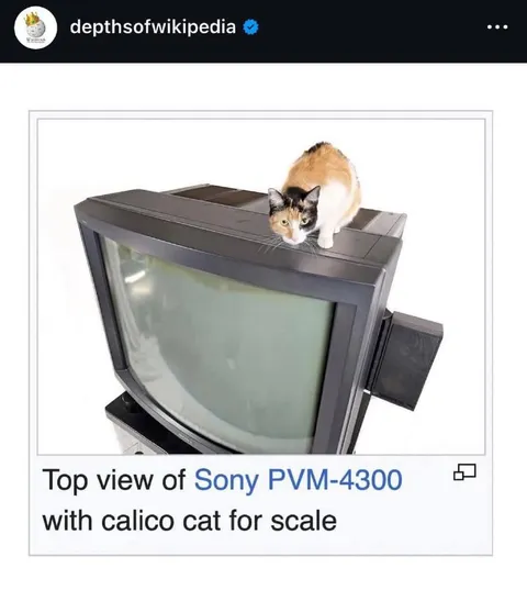 Calico Cat on Sony CRT TV