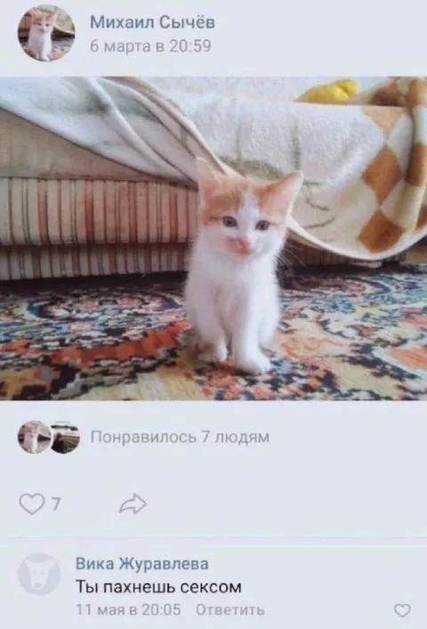 Ты пахнешь сексом