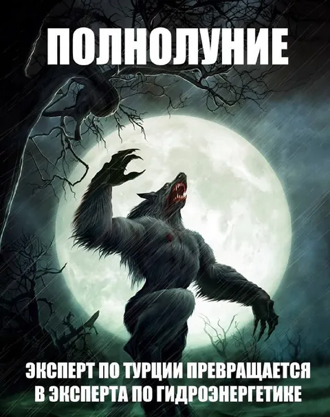 Эксперт по турции превращается в эксперта