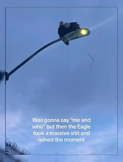 Eagle Ruined the Moment