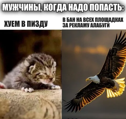 Мужчины, когда надо попасть