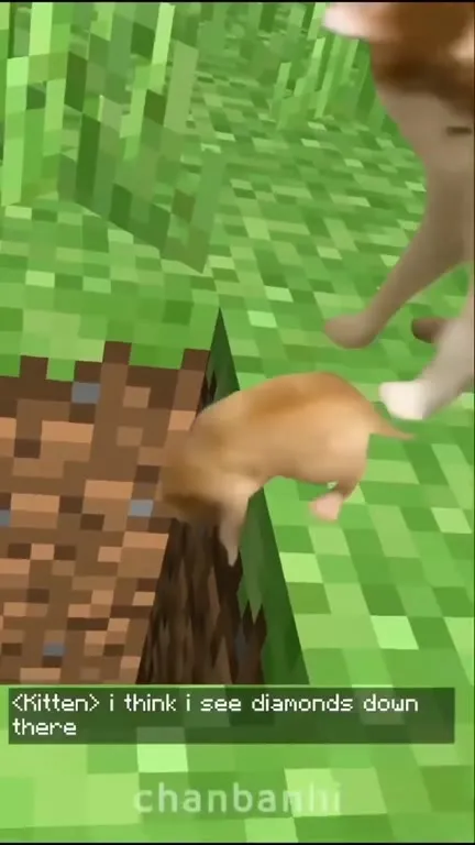 Kitten Sees Diamonds in the Hole