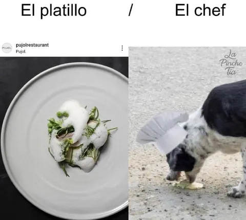 El platillo y el chef