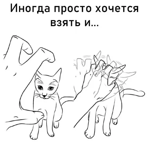 Иногда просто хочется взять и погладить