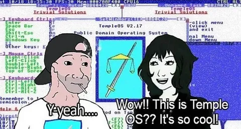 Wojak Discovers TempleOS