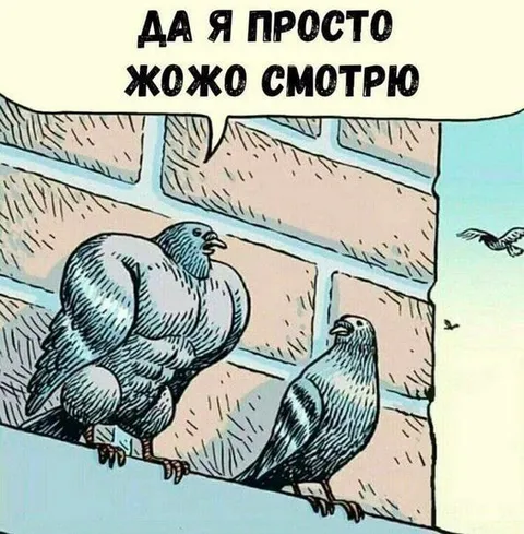Да я просто Жожо смотрю