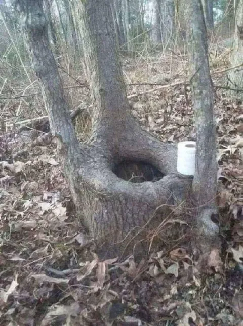 Лесной туалет