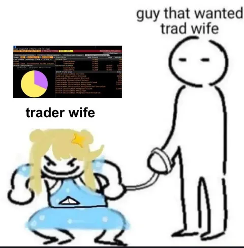 Guy Wanted a Trad Wife