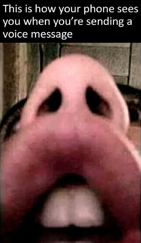 Horse Sending a Voice Message