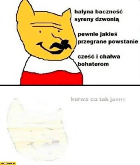 Halyna, syreny dzwonią