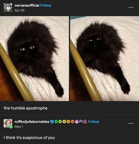 The Humble Apostrophe Cat