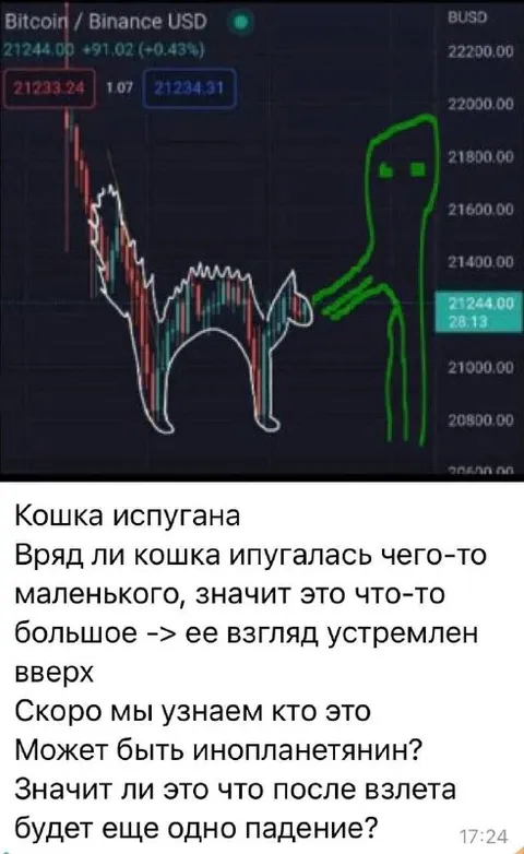 Испуганная кошка на графике