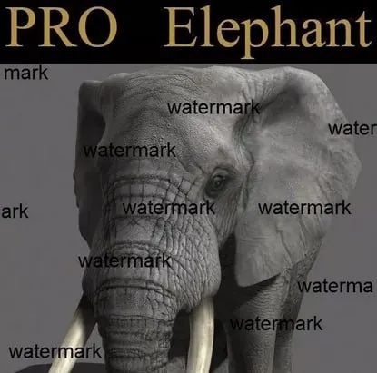 PRO Elephant
