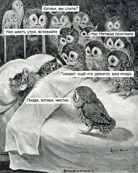 Котики, вы спите?