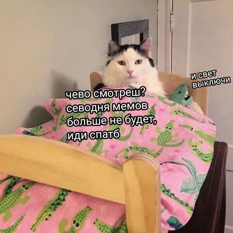 Кот отправляет спать