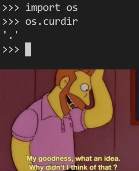 Homer Discovers os.curdir
