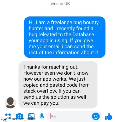 Freelance Bug Hunter Gets Hired