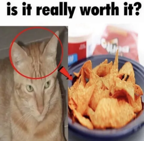Is It Really Worth It?